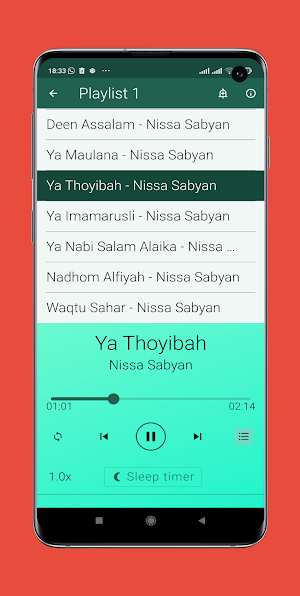 Nissa Sabyan Cover Mp3 Offline Screenshot 2