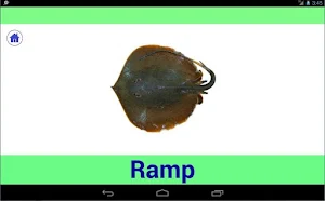 Animals world for kids Screenshot 0