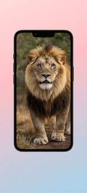 Singa WalL Screenshot 1