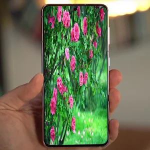 garden wallpapers Screenshot 3