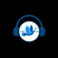 Tiempo De Renacer Radio