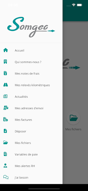 SOMGEC Screenshot 2