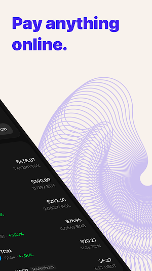 WebWise Pay: Wallet & Card Screenshot 1
