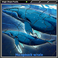 Magic Shape Puzzle 3