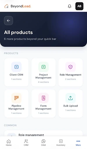 BeyondLead Screenshot 2