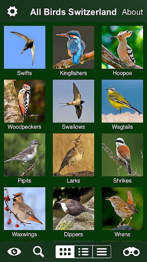 All Birds Switzerland Screenshot 1