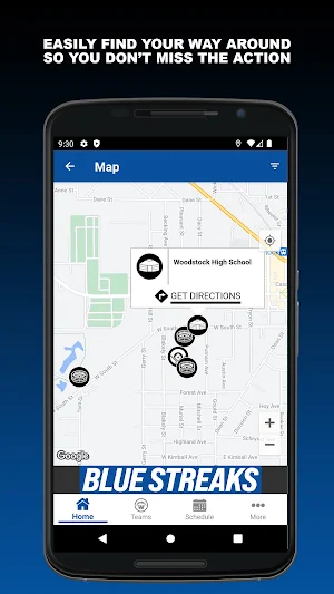 Woodstock Blue Streaks Screenshot 3