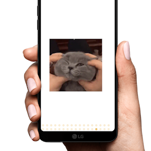 Funny Video Status Screenshot 0