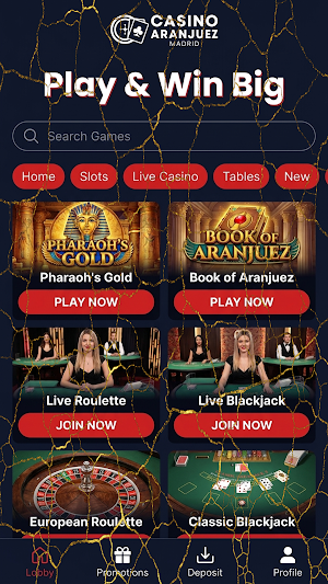 Casino Aranjuez Screenshot 2