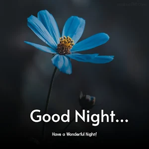 Good Night Images Screenshot 2