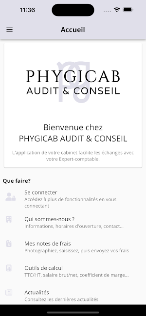 PHYGICAB AUDIT & CONSEIL Screenshot 0