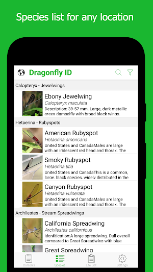 Dragonfly ID Screenshot 0
