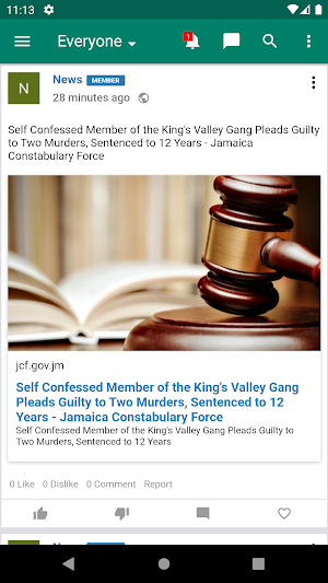 InJamaica Screenshot 0