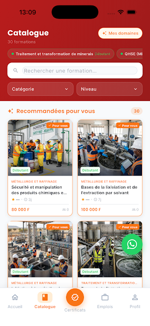ProMiner Screenshot 1