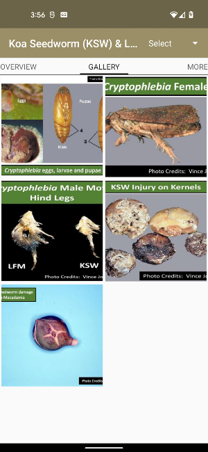 MyIPM Hawaii Screenshot 3