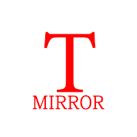 Mirror for tesla
