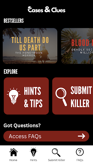Cases and Clues Screenshot 0
