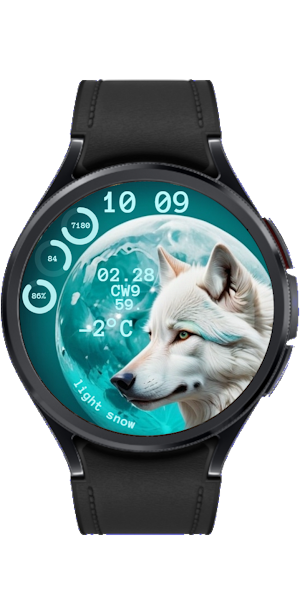 Wolf Screenshot 0
