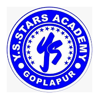 Y S Stars Academy