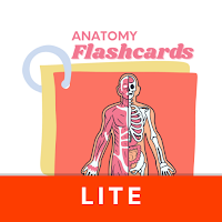 Anatomy Flashcards Lite