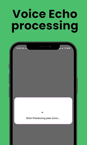 Echo Voice Recorder Screenshot 3