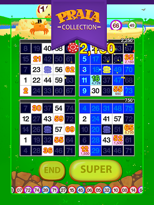 Video Bingo Buzios Screenshot 3