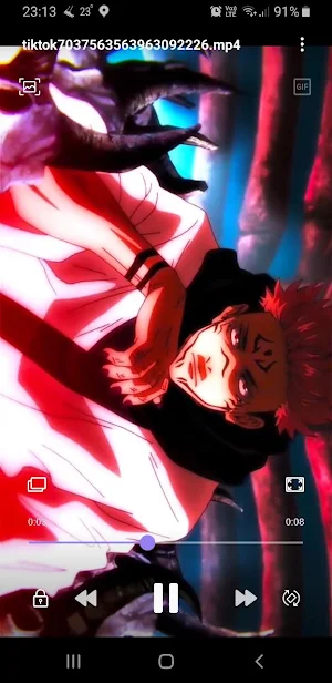 Video Downloader for TT Screenshot 2