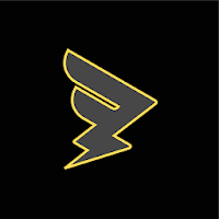 Flash Manager