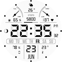 WFP 105 Digital LCD watch face