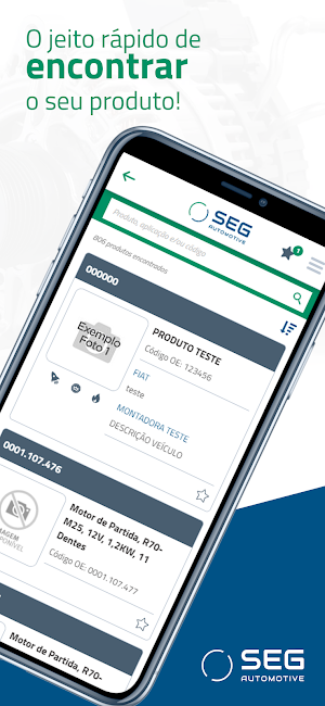 SEG Automotive Screenshot 2