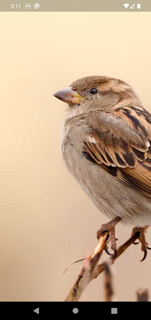 Sparrow sms Screenshot 0