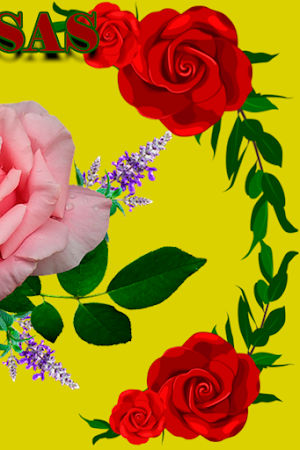 Frases-rosas de amor hermosas Screenshot 3