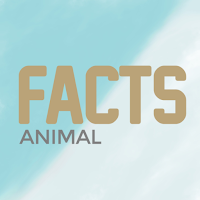 Facts about animals