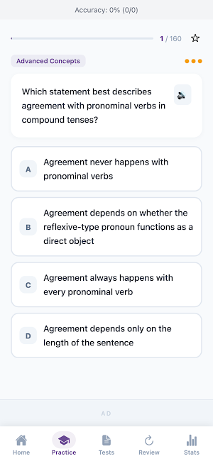French Grammar Basics Practice Screenshot 1