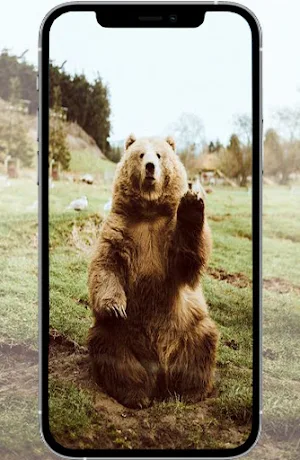 Cute Animals Wallpaper Offline Screenshot 3