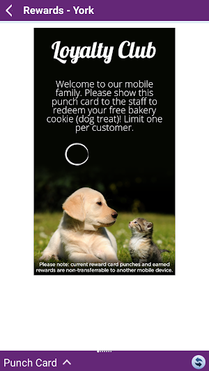 Morgan's Paws Pet Care Center Screenshot 2