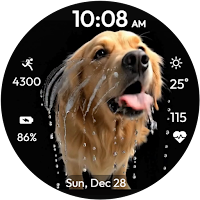 Licking Dog Animated WatchFace