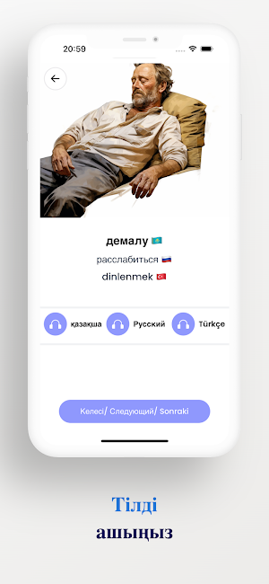 Leksilink Screenshot 3
