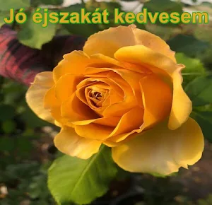 Jó éjszakát Screenshot 2