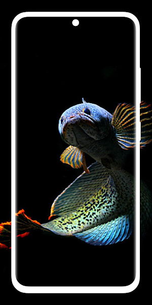 Channa Fish Wallpaper 4K HD Screenshot 2