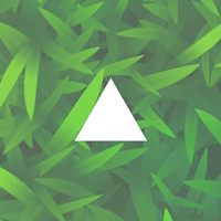 Polygon Survivor