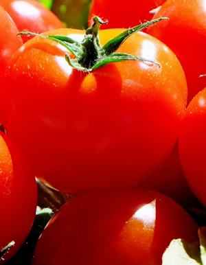 Tomato Food Screenshot 1