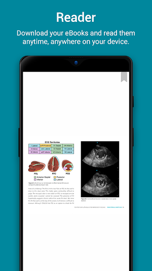 EDE eBook Screenshot 2