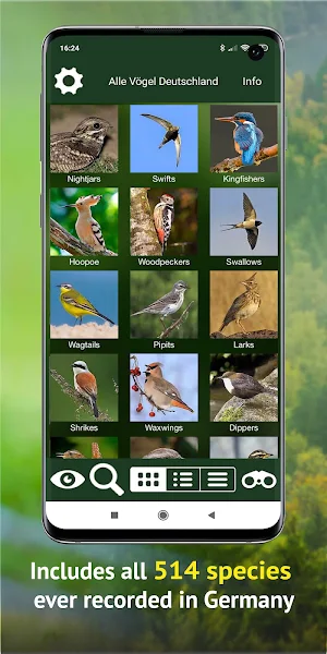 All Birds Germany  - Photo Guide Screenshot 2