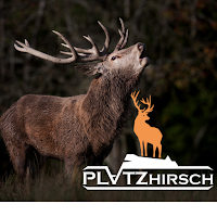 Platzhirsch Saas-Grund Saastal