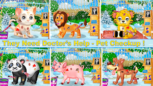Winter Zoo Animal Pet Vet Care Screenshot 1