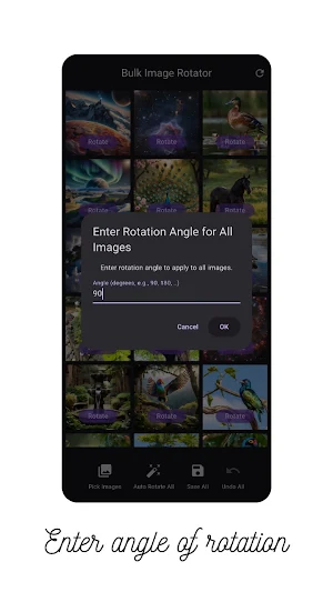 Bulk image rotator Screenshot 2