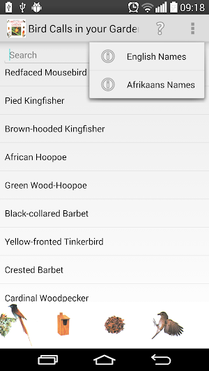 Bird Calls in your Garden Screenshot 0