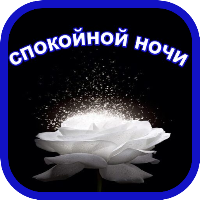 спокойной ночи