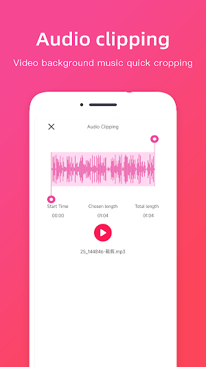 audio extraction Screenshot 2
